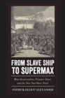 Image for From slave ship to Supermax: mass incarceration, prisoner abuse, and the new neo-slave novel