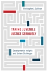 Image for Taking Juvenile Justice Seriously