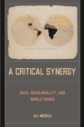 Image for A critical synergy  : race, decoloniality, and world crises