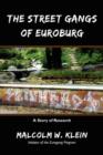 Image for The Street Gangs of Euroburg : A Story of Research