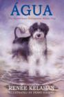 Image for Agua, the Mysterious Portuguese Water Dog