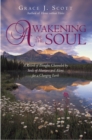 Image for Awakening of the Soul: A Record of Thoughts Channeled by Souls of Humans and Aliens for a Changing Earth