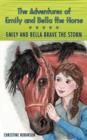 Image for The Adventures of Emily and Bella the Horse : Emily and Bella Brave the Storm
