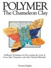 Image for Polymer: the chameleon clay