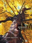 Image for Splash 13  : alternative approaches