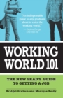 Image for Working World 101: The New Grad&#39;s Guide to Getting a Job
