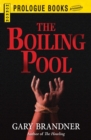 Image for The boiling pool