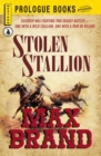 Image for Stolen stallion