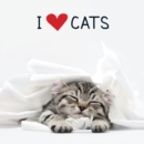 Image for I love cats