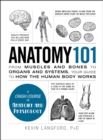 Image for Anatomy 101