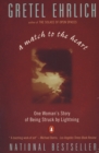 Image for Match to the Heart: One Woman&#39;s Story of Being Struck By Lightning