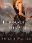 Image for Through the Veil