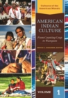 Image for American Indian culture  : from counting coup to wampum