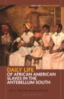 Image for Daily Life of African American Slaves in the Antebellum South