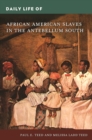Image for Daily Life of African American Slaves in the Antebellum South