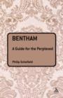 Image for Bentham: a guide for the perplexed