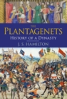 Image for The Plantagenets: history of a dynasty