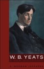 Image for W.B. Yeats: a new biography