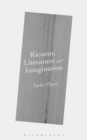 Image for Ricoeur, literature and imagination