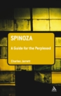 Image for Spinoza: a guide for the perplexed