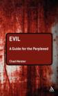 Image for Evil  : a guide for the perplexed