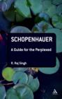 Image for Schopenhauer: a guide for the perplexed