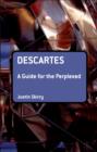 Image for Descartes: a guide for the perplexed
