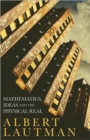 Image for Mathematics, ideas and the physical real
