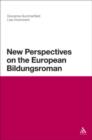 Image for New Perspectives on the European Bildungsroman