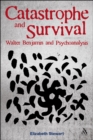 Image for Catastrophe and survival: Walter Benjamin and psychoanalysis