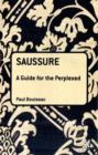 Image for Saussure  : a guide for the perplexed