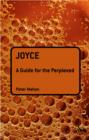 Image for Joyce: a guide for the perplexed