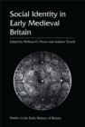 Image for Social identity in early medieval Britain