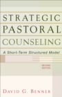 Image for Strategic pastoral counseling: a short-term structured model