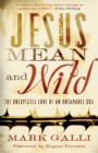 Image for Jesus Mean and Wild