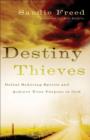 Image for Destiny thieves: defeat seducing spirits and achieve your purpose in God