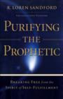 Image for Purifying the prophetic: breaking free from the spirit of self-fulfillment
