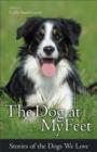 Image for The Dog at My Feet: Stories of the Dogs We Love