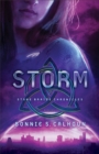 Image for Storm (Stone Braide Chronicles Book #3): A Novel