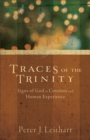 Image for Traces of the Trinity: Signs of God in Creation and Human Experience