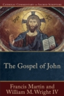 Image for Gospel of John (Catholic Commentary on Sacred Scripture)
