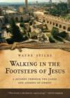 Image for Walking in the Footsteps of Jesus: A Journey Through the Lands and Lessons of Christ