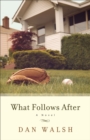 Image for What follows after: a novel