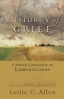 Image for A liturgy of grief: a pastoral commentary on Lamentations