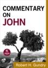Image for Commentary on John (Commentary on the New Testament Book #4)