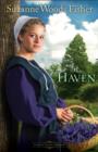 Image for The haven: a novel