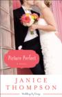 Image for Picture perfect: a novel