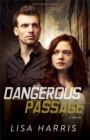 Image for Dangerous passage: a novel