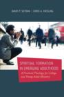 Image for Spiritual formation in emerging adulthood: a practical theology for college and young adult ministry