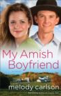 Image for My Amish boyfriend: a novel